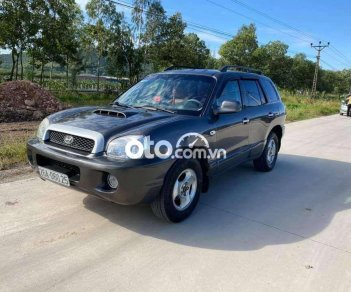 Hyundai Santa Fe Gold 2003 - Cần bán xe Hyundai Santa Fe Gold đời 2003, nhập khẩu nguyên chiếc số tự động 