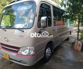 Hyundai County 2009 - Bán xe Hyundai County đời 2009, màu kem (be) còn mới