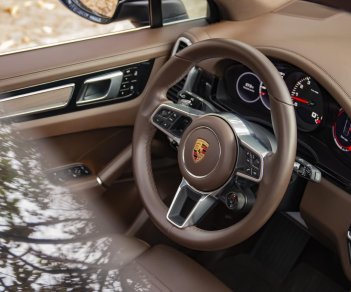 Porsche Cayenne 2019 - Bán xe Porsche Cayenne S đời 2019 nhập khẩu, giá chỉ 6 tỷ 250tr