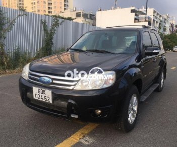 Ford Escape AT 2009 - Cần bán gấp Ford Escape AT năm 2009, màu đen