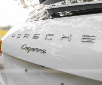 Porsche Cayenne 2017 - Cần bán Porsche Cayenne Platinum năm 2017 giá 4 tỷ 350tr