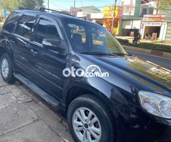 Ford Escape XLT 2010 - Bán Ford Escape XLT sản xuất 2010, màu đen