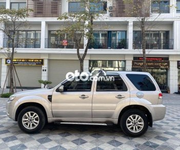 Ford Escape XLS 2.3 2013 - Bán Ford Escape XLS 2.3 sản xuất 2013, màu bạc, giá tốt