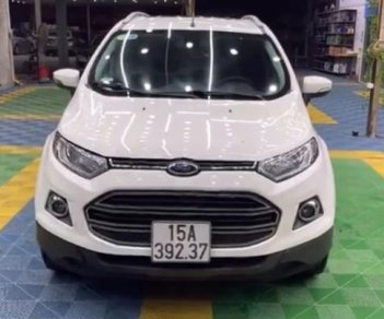 Ford EcoSport Titanium 2014 - Bán Ford EcoSport Titanium sản xuất năm 2014, màu trắng