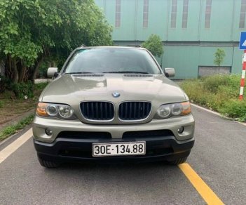 BMW X5 3.0 2004 - Cần bán lại xe BMW X5 3.0 sản xuất 2004, màu nâu, nhập khẩu  