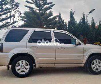 Ford Escape 2007 - Bán xe Ford Escape XLS năm sản xuất 2007, màu bạc, nhập khẩu