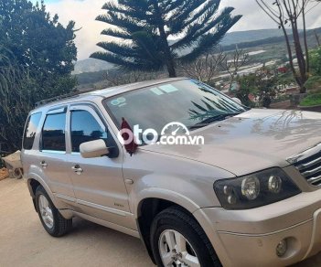 Ford Escape 2007 - Bán xe Ford Escape XLS năm sản xuất 2007, màu bạc, nhập khẩu