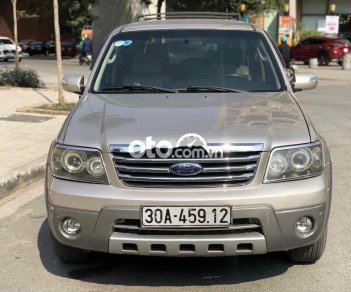 Ford Escape 2007 - Bán xe Ford Escape sản xuất năm 2007, màu xám xe gia đình