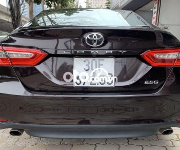 Toyota Camry 2019 - Cần bán gấp Toyota Camry 2.5Q sản xuất 2019, màu đen, nhập khẩu nguyên chiếc