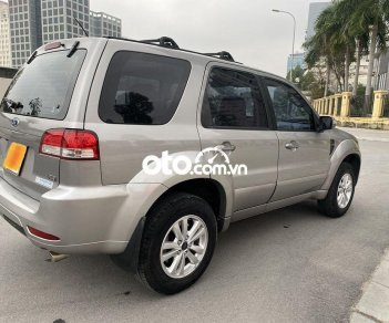 Ford Escape 2009 - Cần bán gấp Ford Escape 2.3L sản xuất năm 2009, màu bạc còn mới