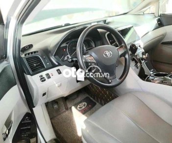 Toyota Venza 2009 - Cần bán Toyota Venza 2.7AT sản xuất 2009, màu bạc giá cạnh tranh