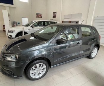 Volkswagen Polo 2022 - Bán Volkswagen Polo 1.6 năm 2022, màu xám, nhập khẩu nguyên chiếc