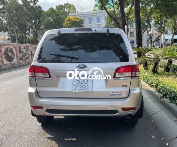 Ford Escape 2009 - Cần bán lại xe Ford Escape XLT 4x4 2009, màu vàng