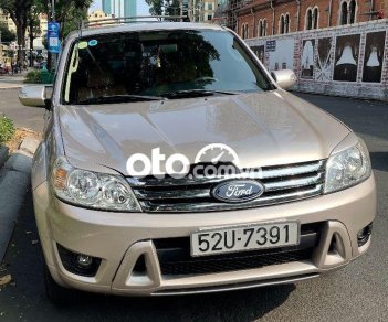 Ford Escape 2009 - Cần bán lại xe Ford Escape XLT 4x4 2009, màu vàng