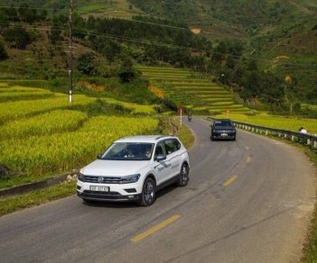 Volkswagen Tiguan 2020 - Bán Volkswagen Tiguan Elegance sản xuất 2020, màu trắng, nhập khẩu