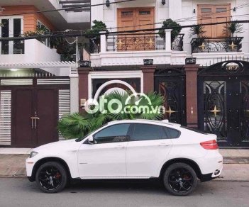 BMW X6 2010 - Bán ô tô BMW X6 năm sản xuất 2010, màu trắng, giá chỉ 550 triệu