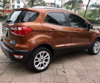 Ford EcoSport 2020 - Màu nâu