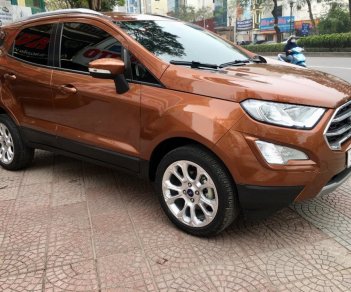 Ford EcoSport 2020 - Màu nâu