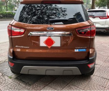 Ford EcoSport 2020 - Màu nâu