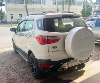 Ford EcoSport 2016 - Cửa nóc