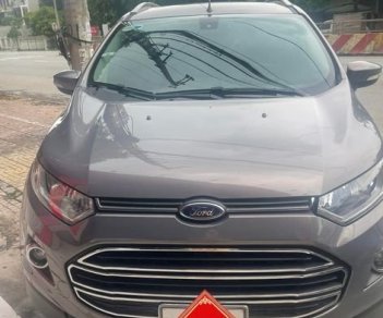 Ford EcoSport 2015 - Màu xám, 410tr