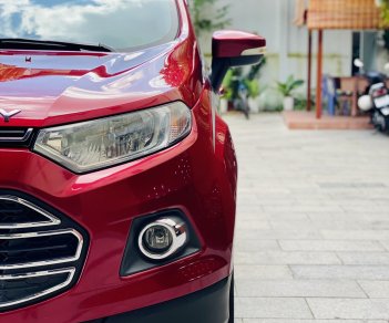 Ford EcoSport 2017 - Bán xe lăn bánh 55.000km