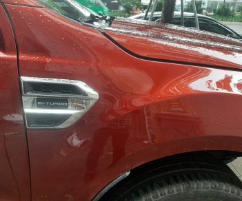 Ford Everest 2021 - 2 cầu số tự động, máy dầu