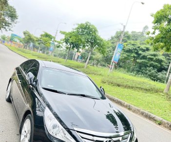 Hyundai Sonata 2010 - Hyundai Sonata 2010