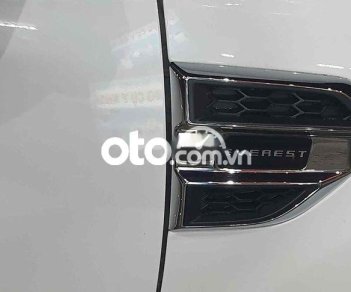 Ford Everest 2019 - Nhập Thái