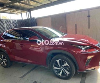 Lexus NX 300 2019 - Xe màu đỏ, xe nhập