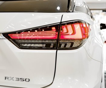 Lexus RX 350 2019 - Xe màu trắng, nhập khẩu