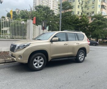 Toyota Land Cruiser Prado 2010 - Odo 12 vạn km