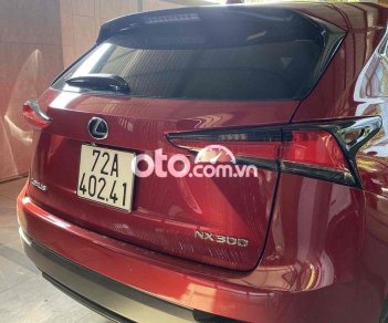 Lexus NX 300 2019 - Xe màu đỏ, xe nhập