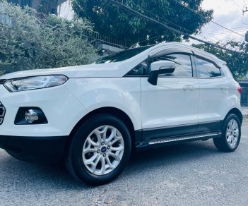 Ford EcoSport 2016 - Xe màu trắng 