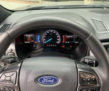 Ford Everest 2020 - Sơ cua chưa hạ