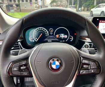 BMW 530i 2019 - Bản nhập khẩu full option