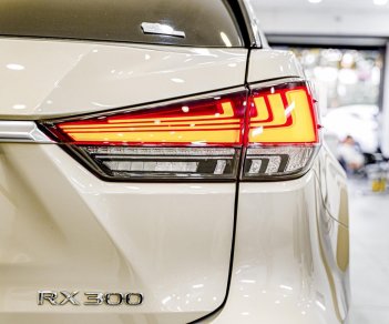 Lexus RX 300 2022 - Xe mới đến 99% cần bán