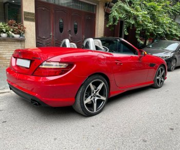 Mercedes-Benz SLK 350 2014 - Màu đỏ, tên tư nhân