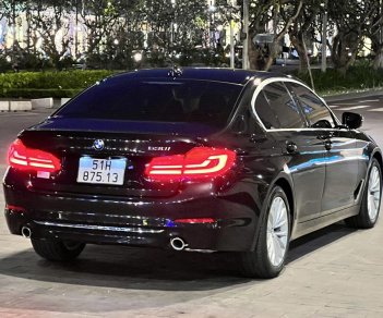 BMW 530i 2019 - Bản nhập khẩu full option