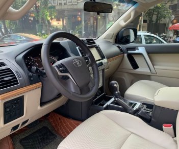 Toyota Land Cruiser Prado 2018 - Toyota Land Cruiser Prado 2018 tại 1