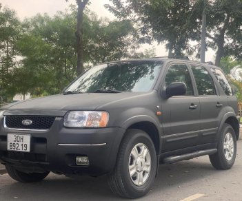 Ford Escape 2002 - Ford Escape 2002 số tự động