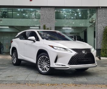 Lexus RX 350 2020 - Chất lượng đẹp như mới