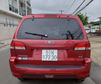 Ford Escape 2010 - Ford Escape 2010 số tự động