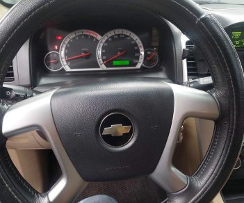 Chevrolet Captiva 2008 - Màu vàng, 230tr