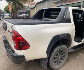 Toyota Hilux 2020 - Toyota Hilux 2020 tại Hà Nội