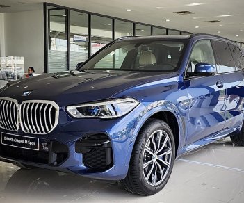 BMW X5 2022 - Xe sẵn giao ngay
