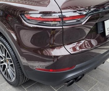 Porsche Cayenne 2019 - Xe nhà trùm màn