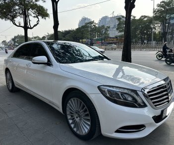 Mercedes-Benz 2016 - Trung Sơn Auto bán Mercedes-Benz bản thương gia siêu chất