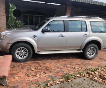 Ford Everest 2009 - Xe màu bạc