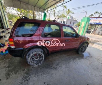 Ford Escape   số tự động 2002 - Ford escape số tự động